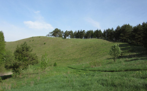 5_Pavištyčio piliakalnis (1).jpg